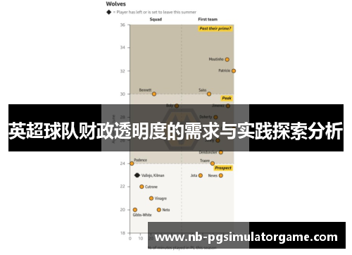 英超球队财政透明度的需求与实践探索分析