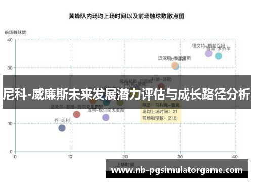 尼科-威廉斯未来发展潜力评估与成长路径分析