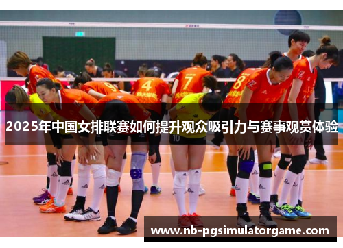 2025年中国女排联赛如何提升观众吸引力与赛事观赏体验