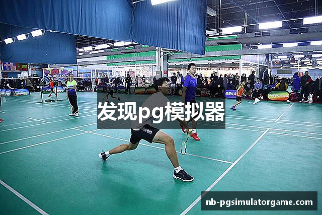 发现pg模拟器